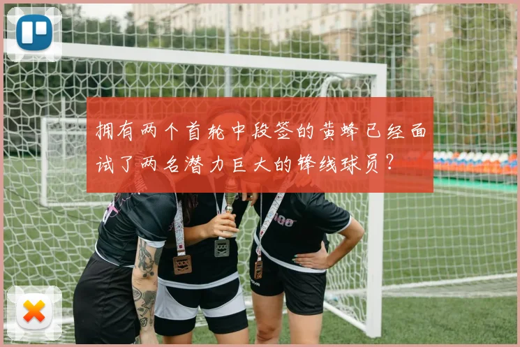 拥有两个首轮中段签的黄蜂已经面试了两名潜力巨大的锋线球员？